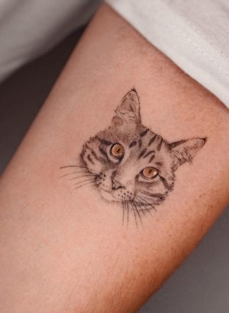 Tattoo micro realismo gato