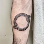 Tattoo círculo serpientes