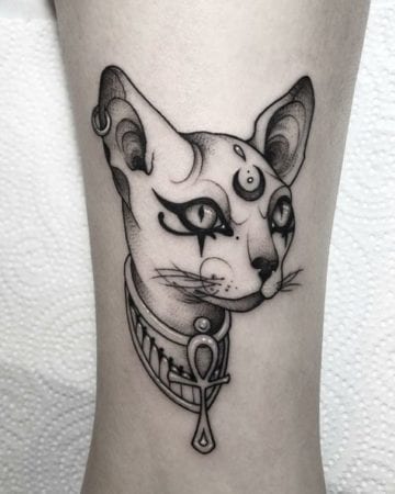 El gato egipcio