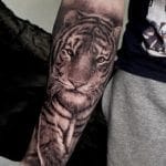 Tattoo realismo tigre