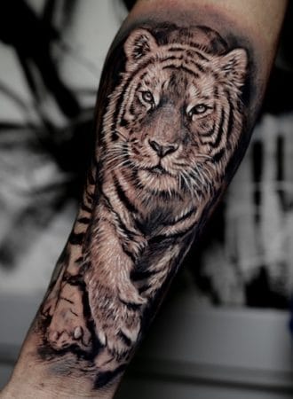 tattoo tigre realista