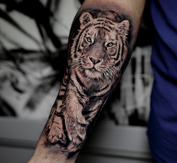 Siberian Tiger Tattoo Orangetattooshop Siberian Tiger Tattoo Orangetattooshop