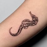tattoo caballito de mar
