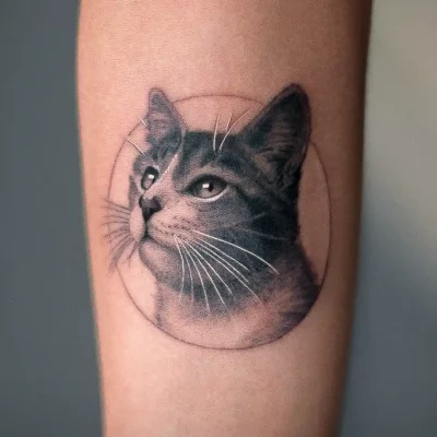 Gato1.webp